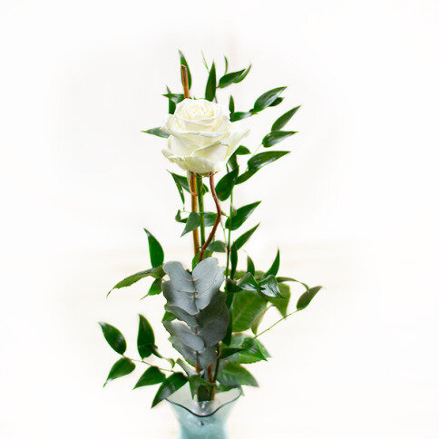 Krémová ruža a belgické pralinky pre zaľúbených