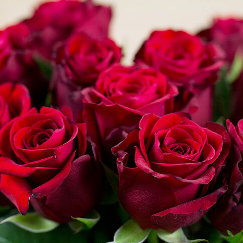 kytica červených ruží na Valentína