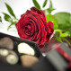 Červená ruža a Chocoheart